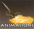 Animations