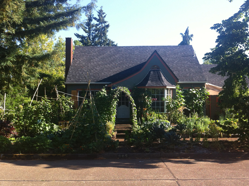 Cold Frame