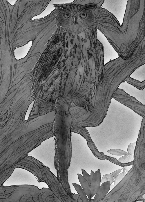 Eagle Owl