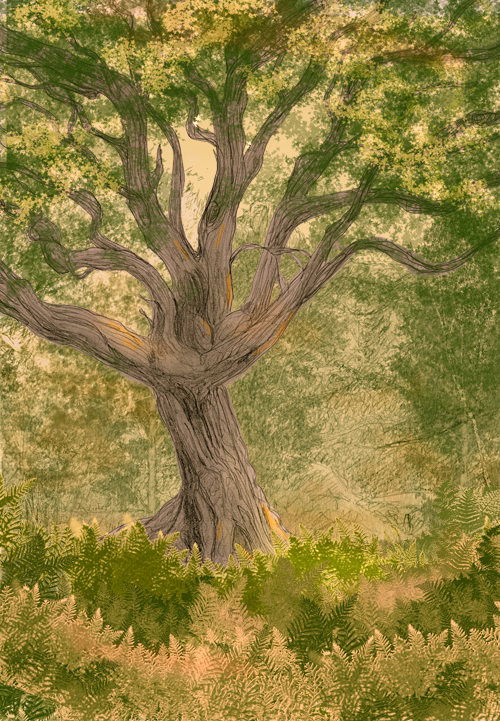 Oak